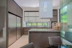 Balmoral Road (D10), Terrace #524640501